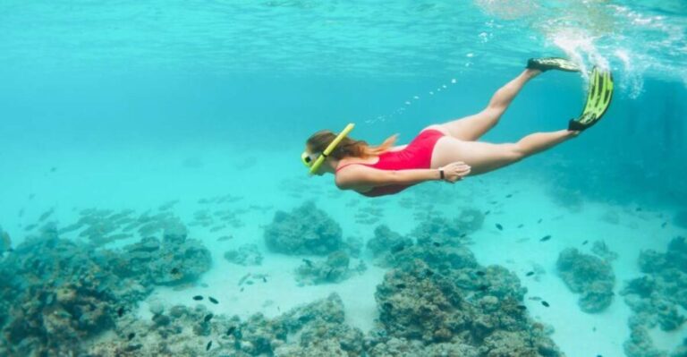 West Oahu: Turtles, Dolphins, and Snorkeling Tour with Lunch - What Sets This Tour Apart?