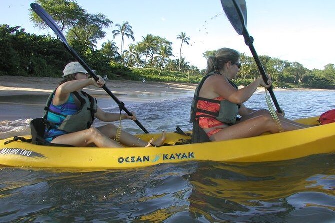 West Side Discovery Kayak & Snorkel Tour - Detailed Breakdown of the Itinerary
