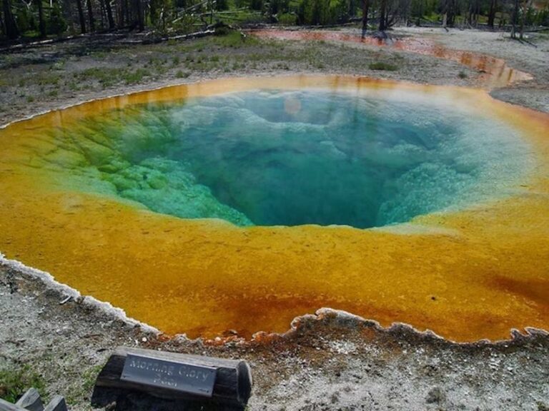 West Yellowstone: Yellowstone Day Tour Including Entry Fee - Who Is This Tour Best For?