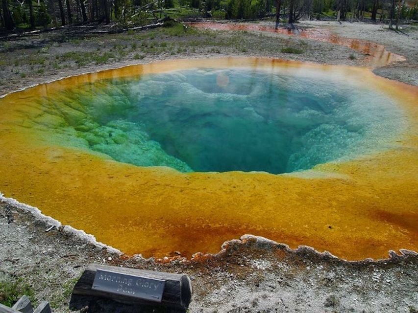West Yellowstone: Yellowstone Day Tour Including Entry Fee - Who Is This Tour Best For?