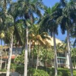 Wet & Dry Fort Lauderdale - Authenticity and Special Touches