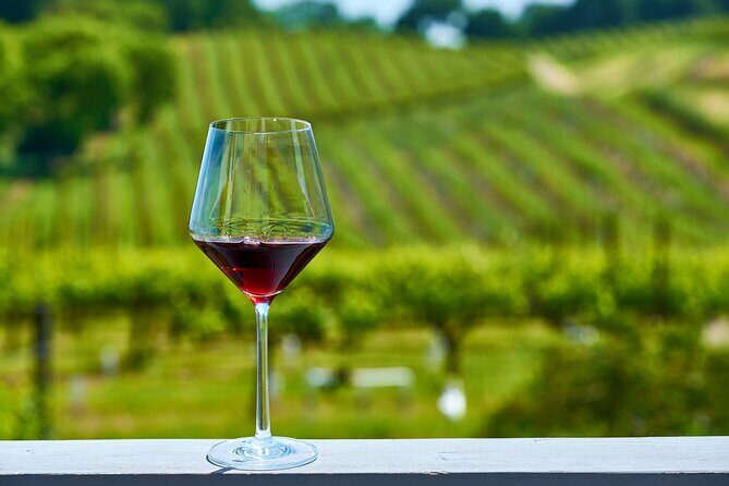Willamette Valley Full-Day Wine Tour from Portland - An In-Depth Look at the Tour Experience
