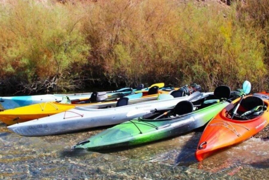 Willow Beach: Black Canyon Kayak Half Day Kayak Rentals - Who Is This Tour Best For?