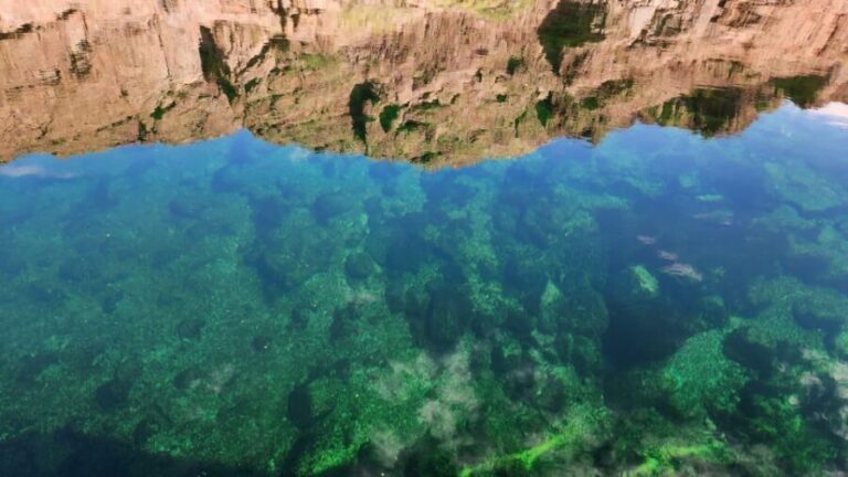 Willow Beach: Half-Day Kayak Rental with Emerald Cave Option - Authentic Traveler Insights and Tips