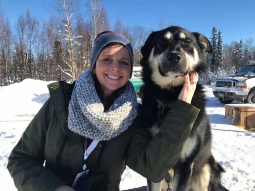 Willow: Traditional Alaskan Dog Sledding Ride - The Ride: A Journey Through Wilderness and Wonder