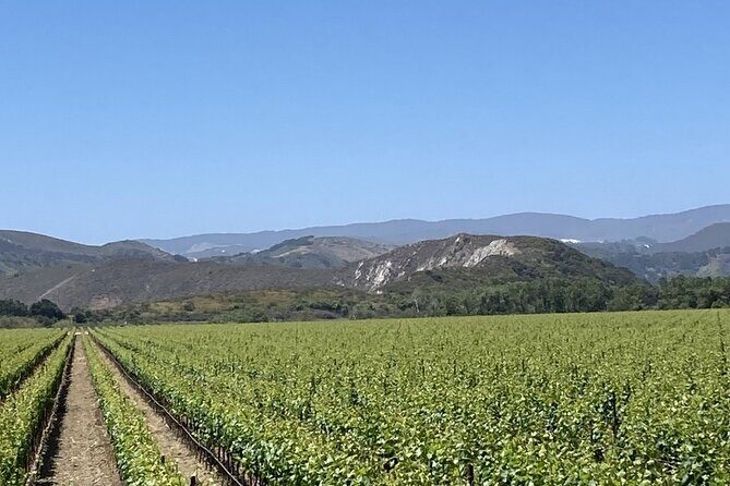 Wine Tours Three - Transportation & Comfort