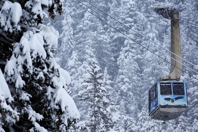 Winter - Alaska Wildlife Center with Alyeska Tram - A Closer Look at the Itinerary