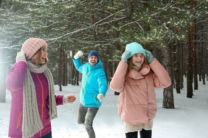 Winter Wonderland Walk: Buffalos Festive Highlights - Value and Experience