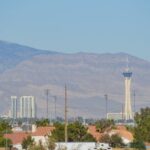 Winter Wonders of Vegas: A Festive Stroll - Who Will Love This Tour?