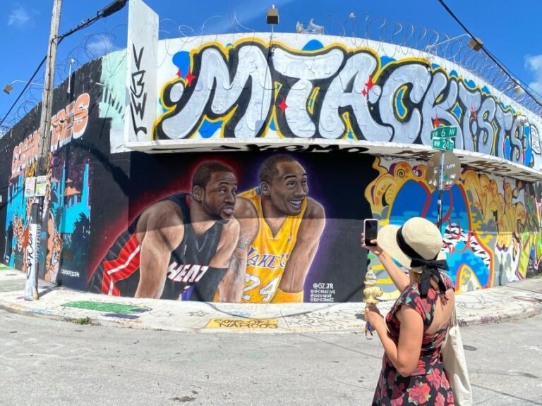 Wynwood walking tour in French (2h) - The Experience: Why It Works and Who It’s For