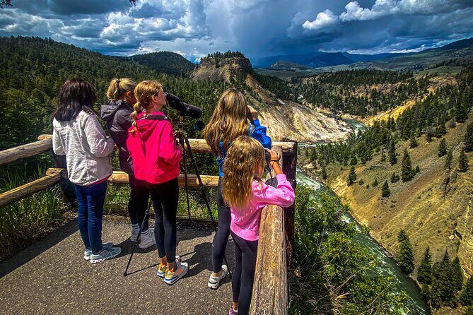 Yellowstone & Grand Teton Nat'l Parks Day Tour - Private Tour - What Makes This Tour Stand Out?