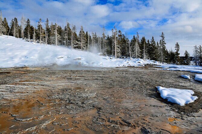 Yellowstone, Grand Teton & Utah Mighty 5 Winter Tour: Small Group 9-Day Tour - Final Thoughts