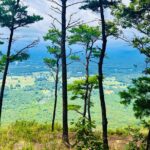 Yonah Mountain Hike Private Tour in Georgia - What Reviewers Say