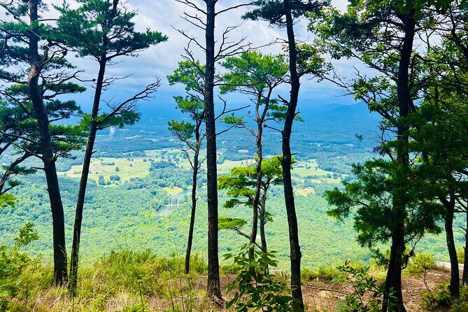 Yonah Mountain Hike Private Tour in Georgia - What Reviewers Say