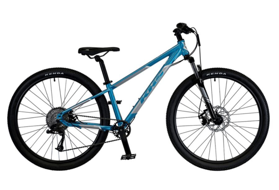 Yosemite Valley Area: Standard Bike Rental - The Sum Up