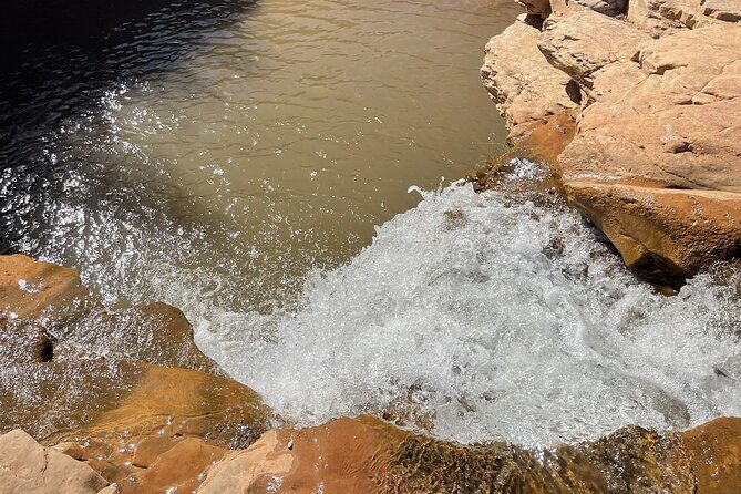 Zion Hummer Tour to Zion Waterfall with swimming - Why You Should Consider This Tour