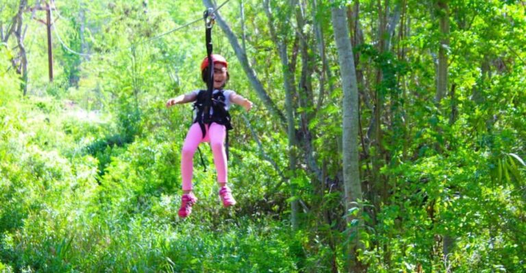 Zip & Dip: 3 Ziplines + Wet 'n' Wild Hawaii Waterpark - Authentic Reviews and Insights