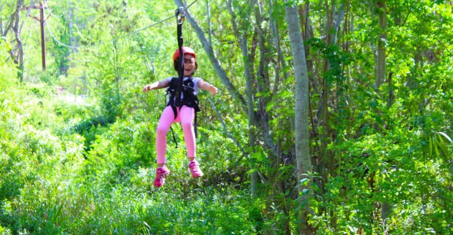 Zip & Dip: 3 Ziplines + Wet 'n' Wild Hawaii Waterpark - Authentic Reviews and Insights