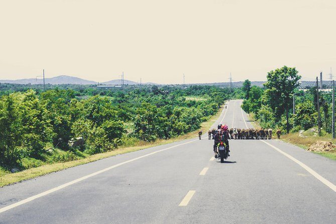 01 Day Easy Rider from Da Lat to Mui Ne by motorbike - Who Is This Tour Best For?