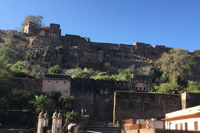 03 Days Private Ranthambore Wildlife Safari Tour From Delhi - Who Is This Tour Best For?