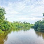 05 Day Explore Sri Lanka - Who Is This Tour Best Suited For?