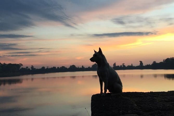 1 Day Angkor Wat with Sunrise Tour - Detailed Breakdown of the Itinerary