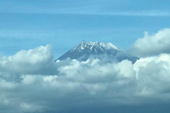 1 Day Charter Tour to Mt Fuji View - FAQ