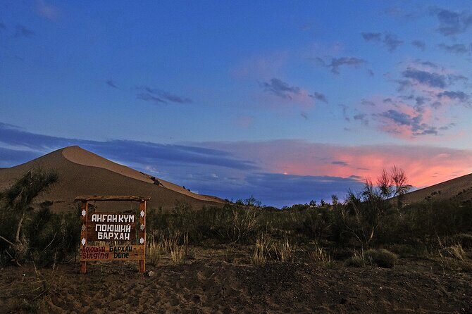 1 Day Express Tour: Altyn Emel National park - Transportation, Timing, and Overall Experience
