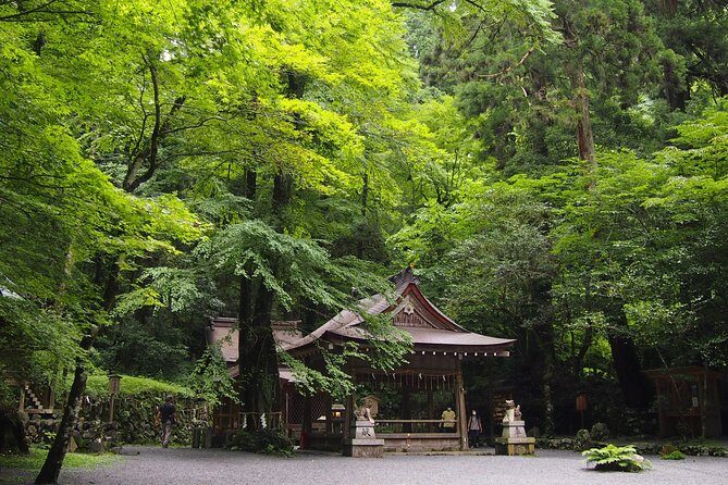 1 Day Hiking Tour in the Mountains of Kyoto - The Highlights of the Itinerary