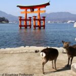 1 Day Hiroshima and Miyajima Tour by Bullet Train from Kyoto - Transportation and Logistics: Why It Matters