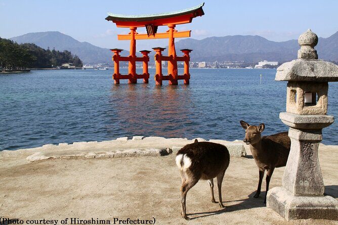 1 Day Hiroshima and Miyajima Tour by Bullet Train from Kyoto - Transportation and Logistics: Why It Matters