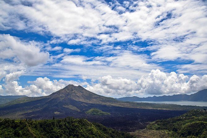 1 DAY Kintamani Plateau + Ubud + Tegallalang Rice Terrace + Tirta Empul Temple / Private tour 8 hours, English/Japanese - The Sum Up
