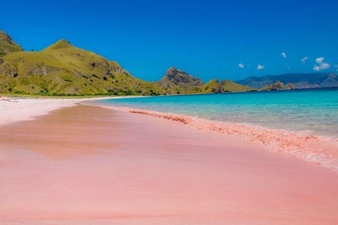 1 Day Komodo Trip by Private Fast Boat - A Deep Dive into the 1-Day Komodo Tour