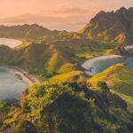 1 Day Komodo Trip By Shared Fast Boat - Analyzing the Value