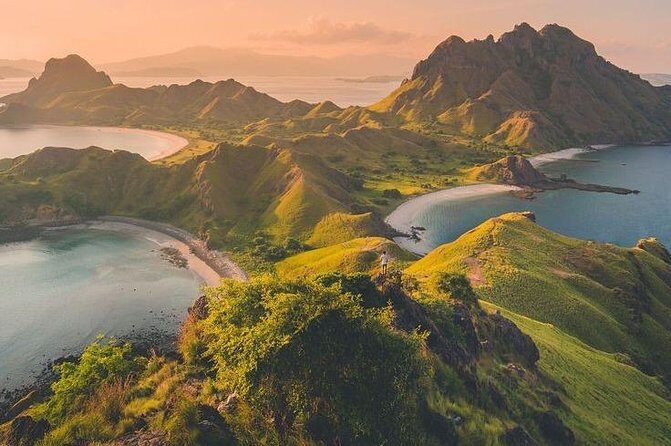 1 Day Komodo Trip By Shared Fast Boat - Analyzing the Value
