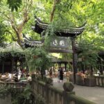 1-Day Panda Breeding Center plus Chengdu City Tour - Who’s This Tour Best For?