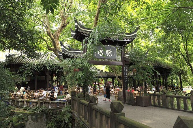 1-Day Panda Breeding Center plus Chengdu City Tour - Who’s This Tour Best For?