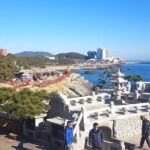 1 Day Private Busan Guided Tour - Who Is This Tour Best For?