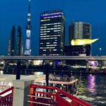 1 Day Private Charter Tokyo Sight Seeing green number plate - Final Thoughts