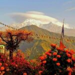 1-Day Private Dhampus Trekking Tour - Practical Details & What to Expect