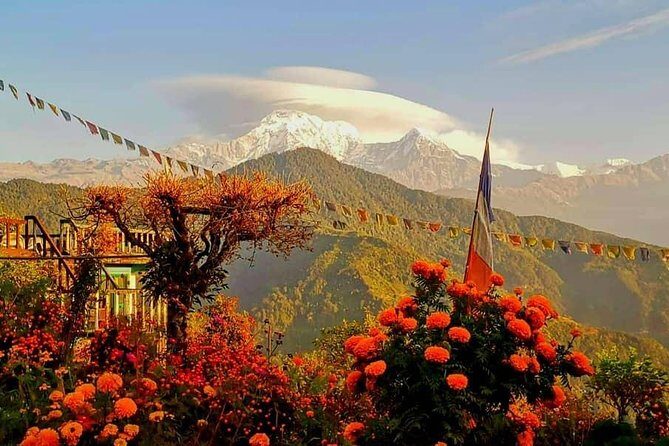 1-Day Private Dhampus Trekking Tour - Practical Details & What to Expect