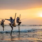 1 Day Private Tour Itinerary for Bentota, Hikkaduwa and Galle - Whats Included and Whats Not