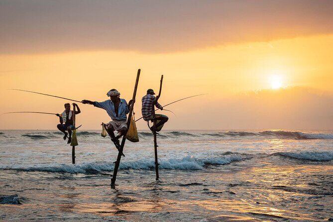 1 Day Private Tour Itinerary for Bentota, Hikkaduwa and Galle - Whats Included and Whats Not
