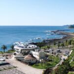1 Day Private Tour to Miyazaki Nichinan - The Itinerary in Detail