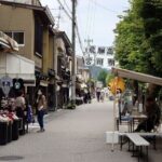 1-Day Takayama Tour: Explore Scenic Takayama and Shirakawago - The Pros and Cons: Value and Experience