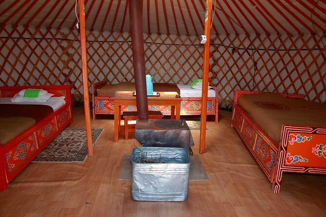 1 Day Tour: Khustai National Park - Authentic Insights from Past Travelers