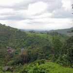 1 Day Trekking Group Tour With Bamboo Cooking / Chiang Rai - Who Should Consider This Tour?