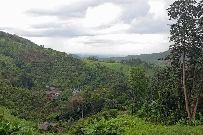 1 Day Trekking Group Tour With Bamboo Cooking / Chiang Rai - Who Should Consider This Tour?