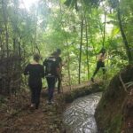 1 Day Trekking in Chiang Mai - The Sum Up