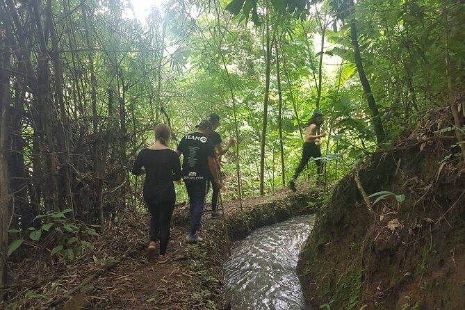 1 Day Trekking in Chiang Mai - The Sum Up